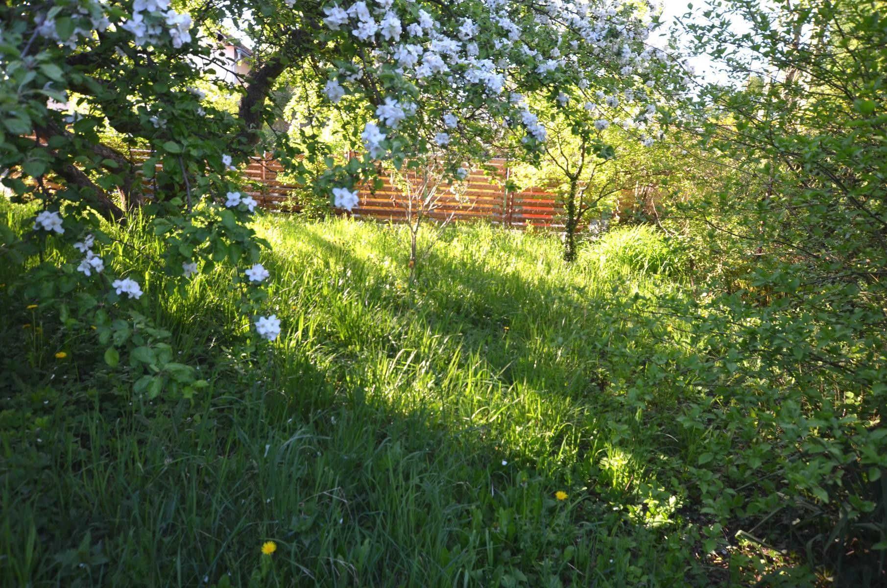 Prodej pozemku 453 m² - foto 7