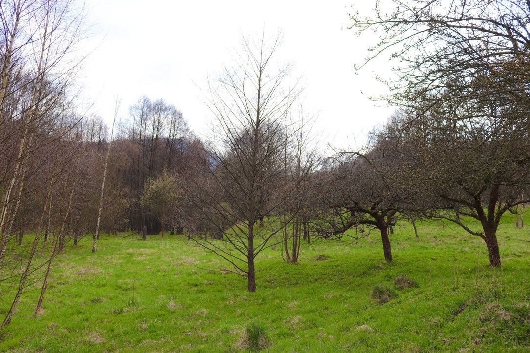Prodej domu 500 m² - foto 12