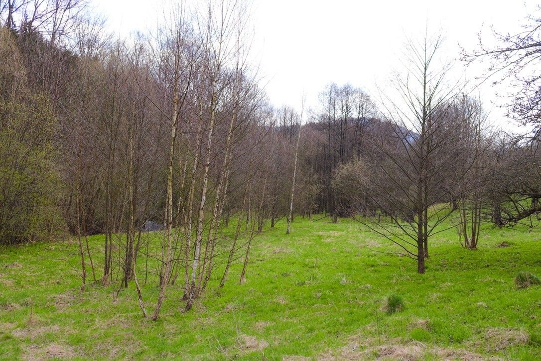 Prodej domu 500 m² - foto 11