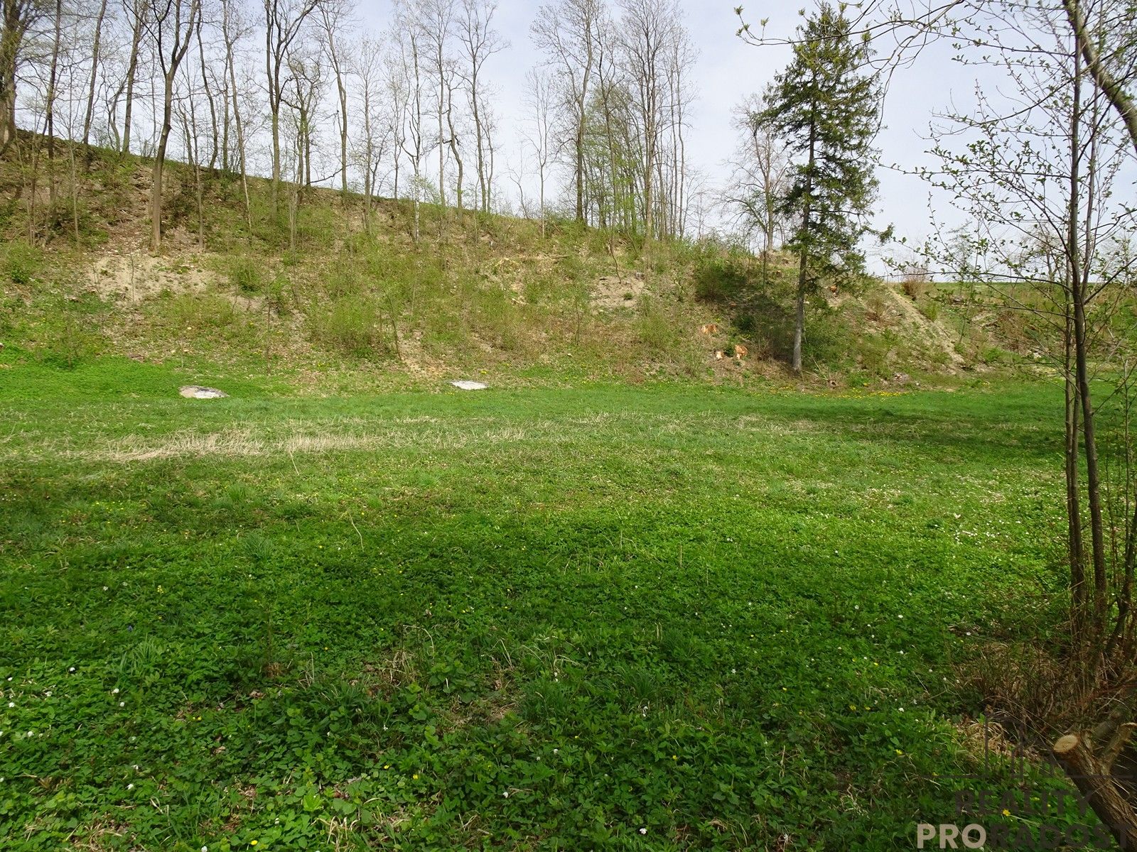 Prodej pozemku 5086 m² - foto 3