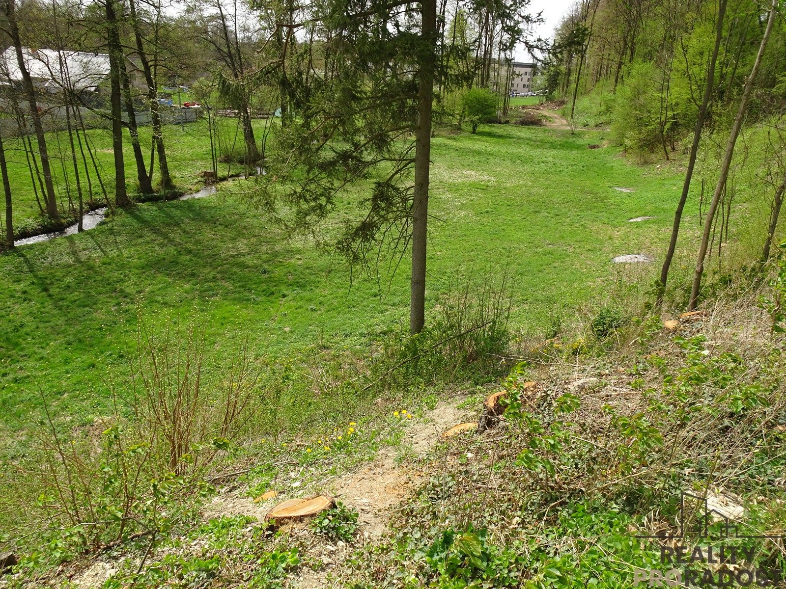 Prodej pozemku 5086 m² - foto 6