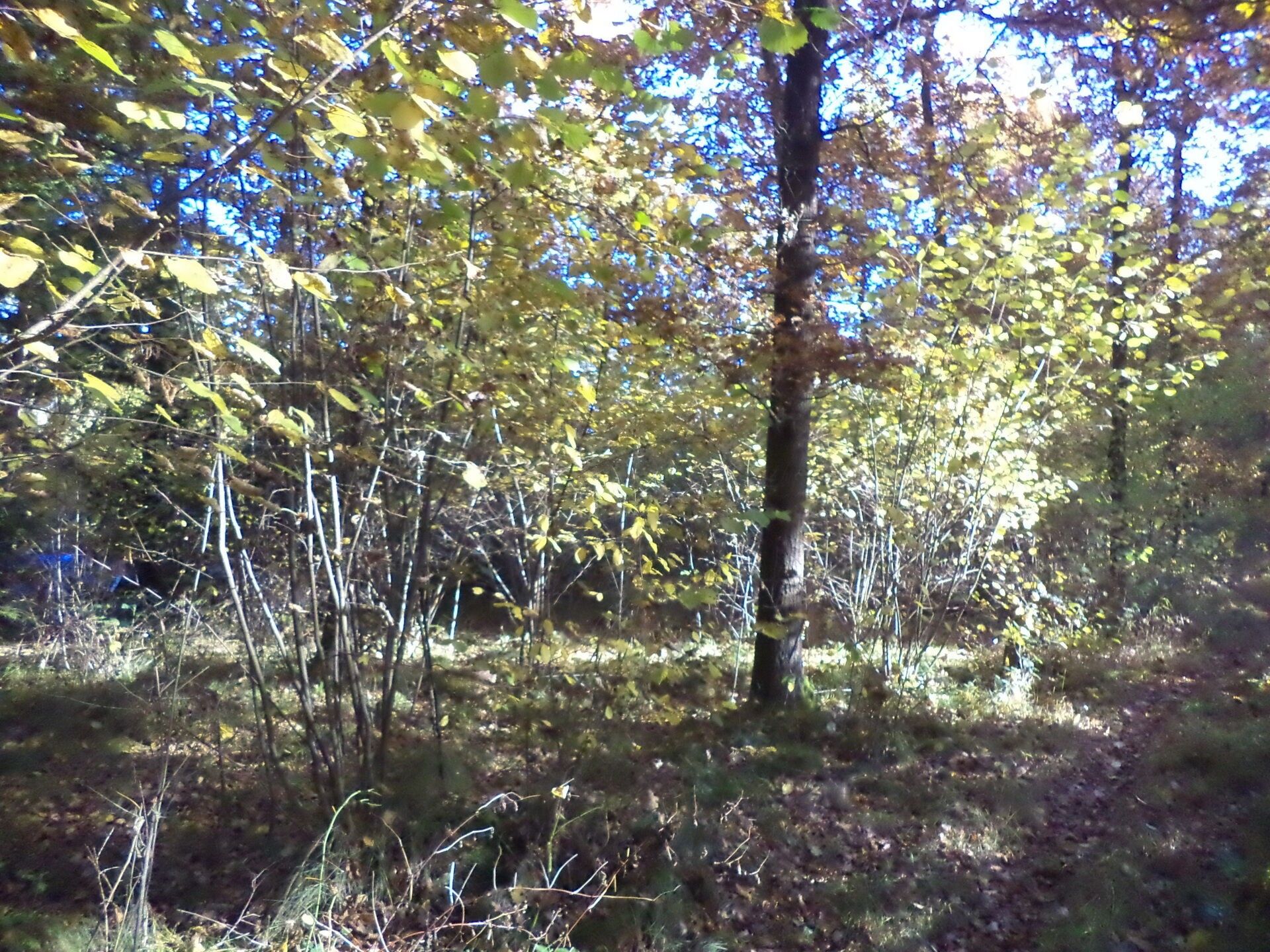 Prodej nemovitosti 2102 m² - foto 1