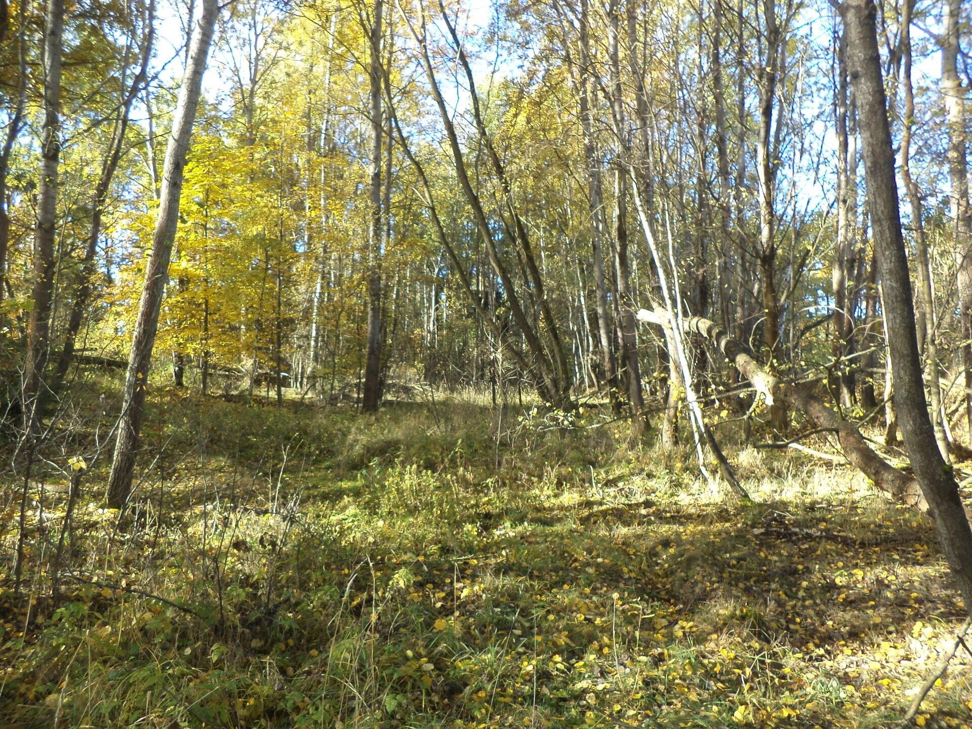 Prodej nemovitosti 2102 m² - foto 10