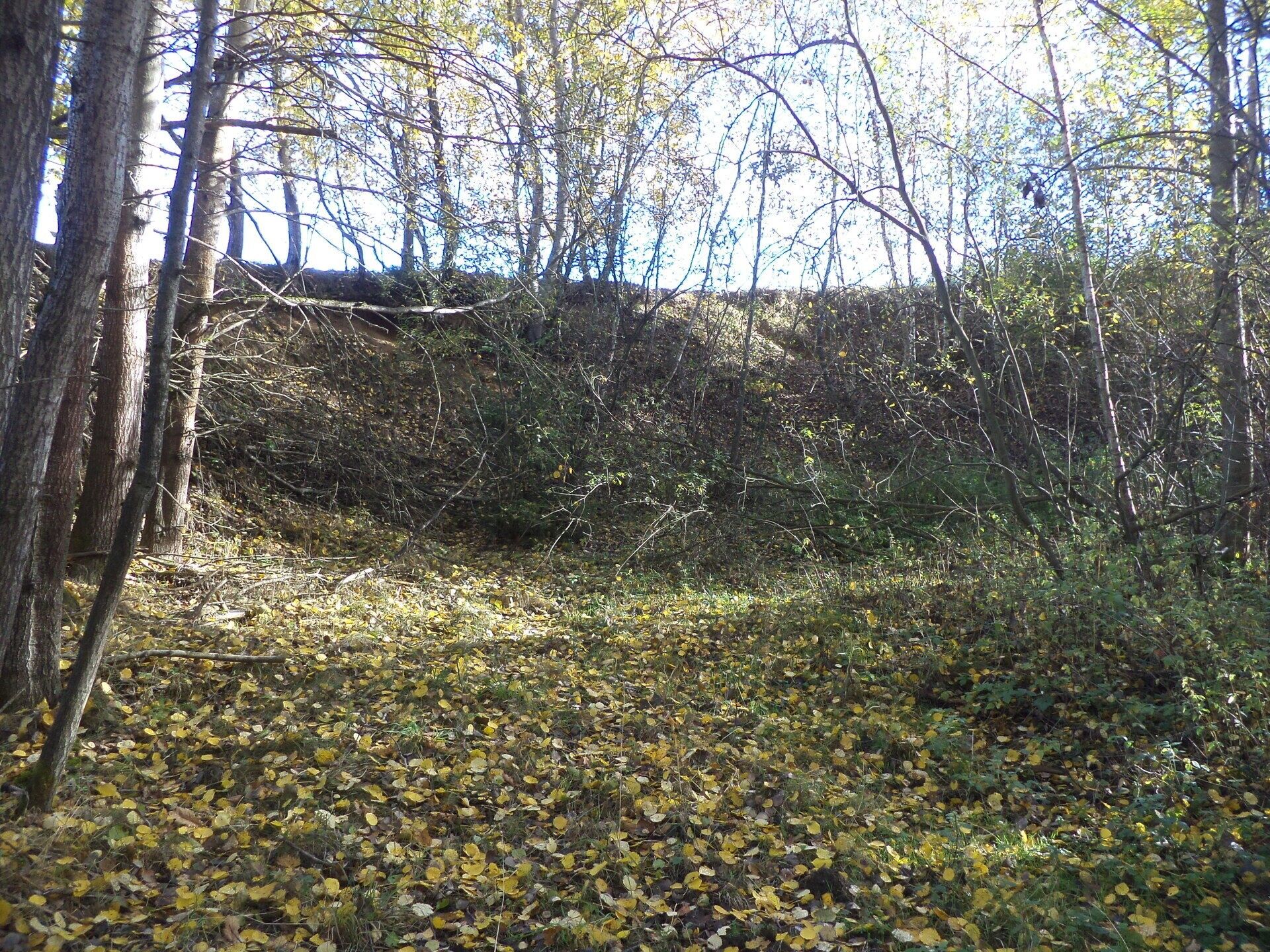 Prodej nemovitosti 2102 m² - foto 9