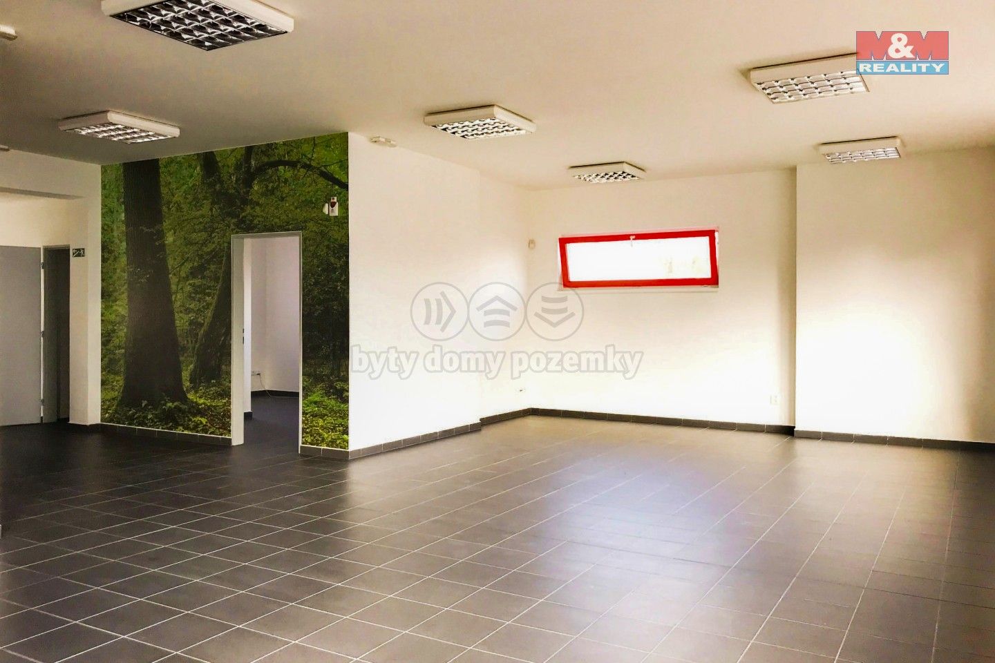 Prodej komerčního prostoru 300 m² - foto 6