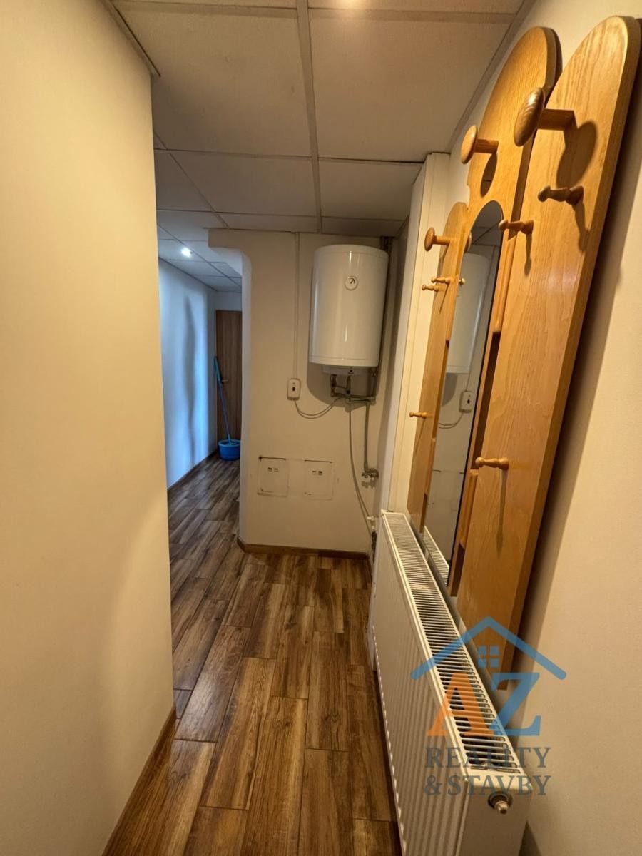 Pronájem bytu 1+1 50 m² - foto 8