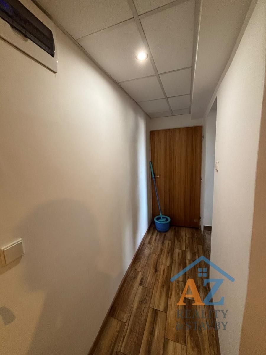 Pronájem bytu 1+1 50 m² - foto 13