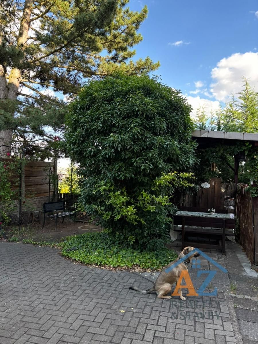 Pronájem bytu 1+1 50 m² - foto 16
