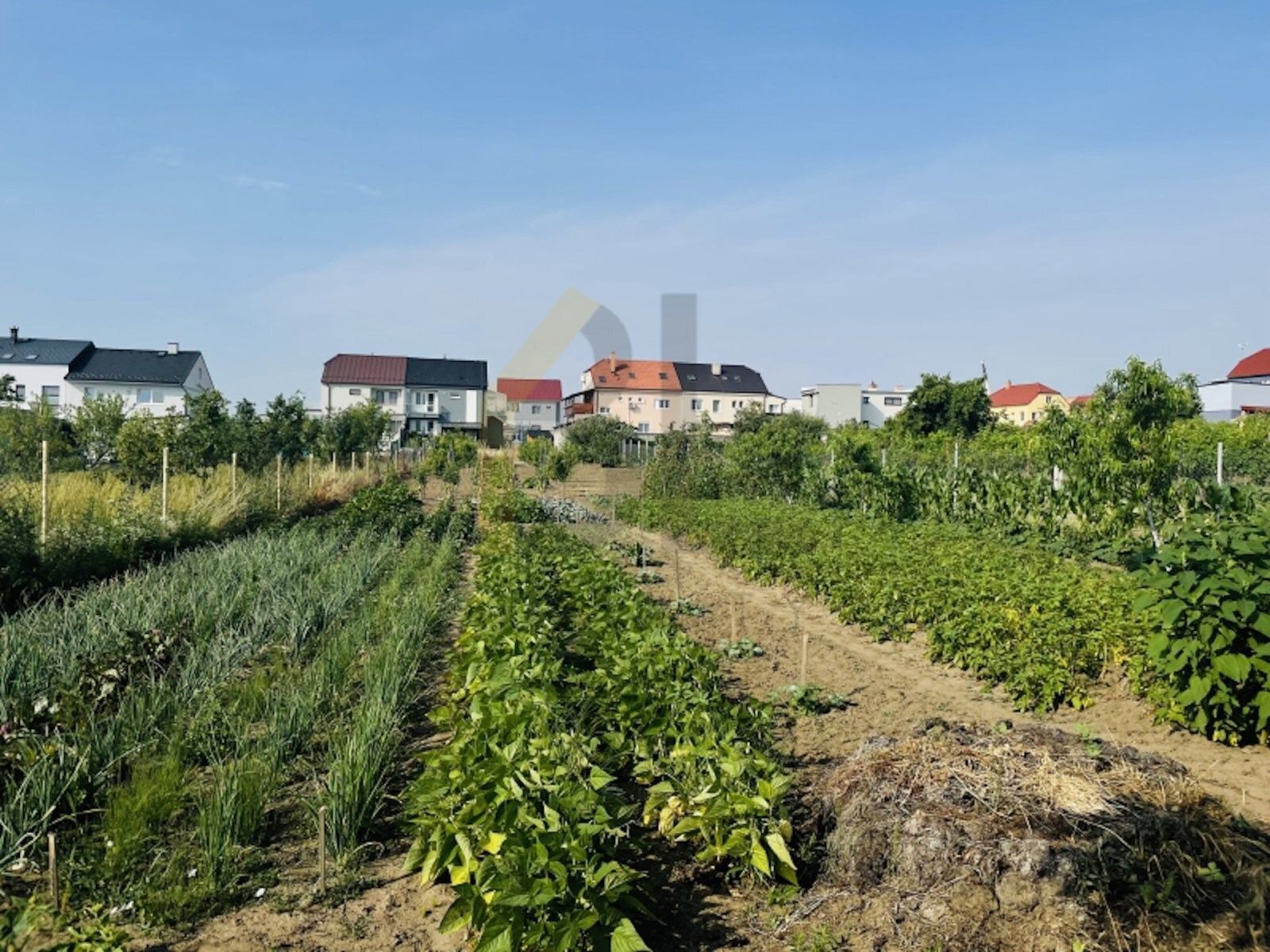 Prodej pozemku 2053 m² - foto 5