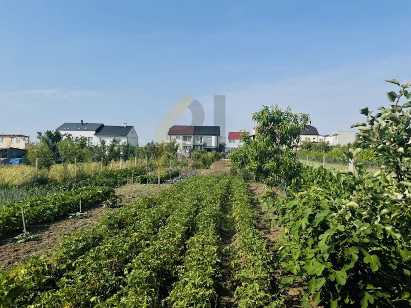 Prodej pozemku 2053 m² - foto 4