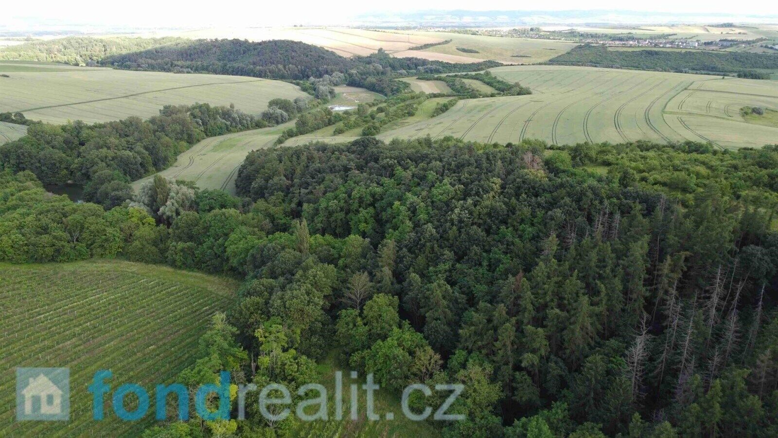 Prodej nemovitosti 4351 m² - foto 1