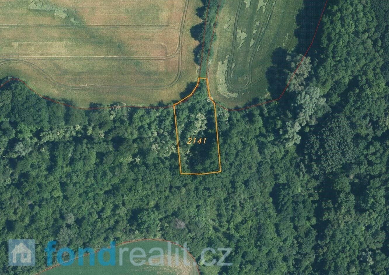 Prodej nemovitosti 4351 m² - foto 4