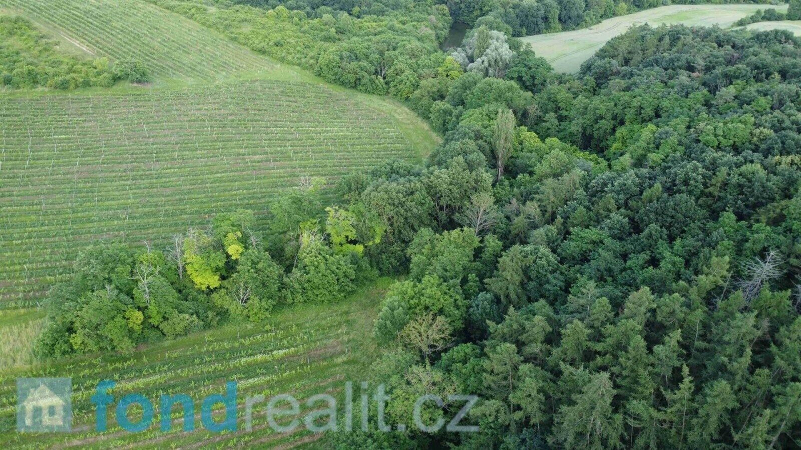 Prodej nemovitosti 4351 m² - foto 2