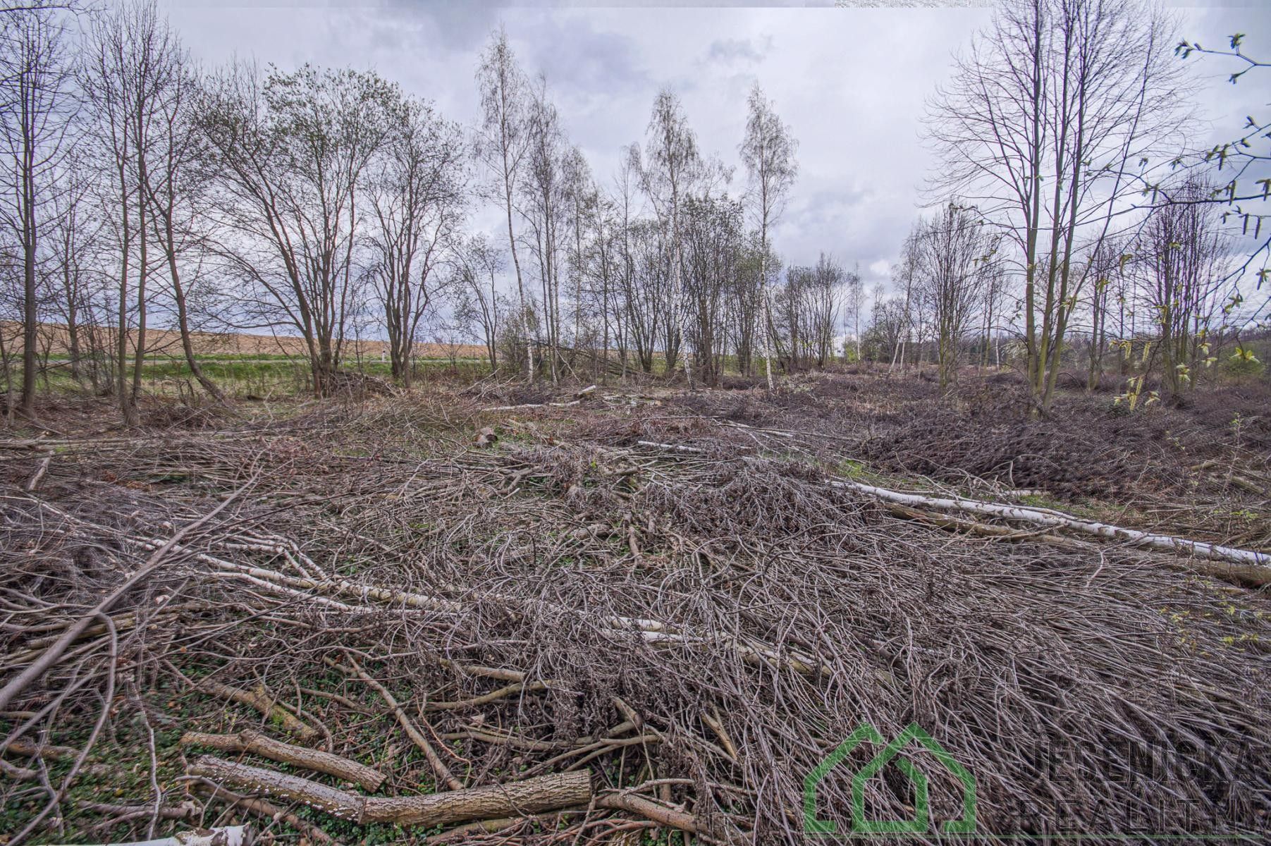 Prodej pozemku 6787 m² - foto 10