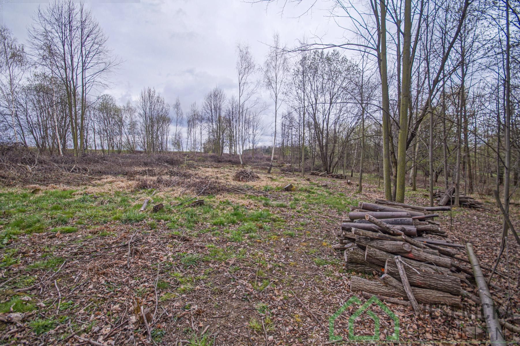 Prodej pozemku 6787 m² - foto 12