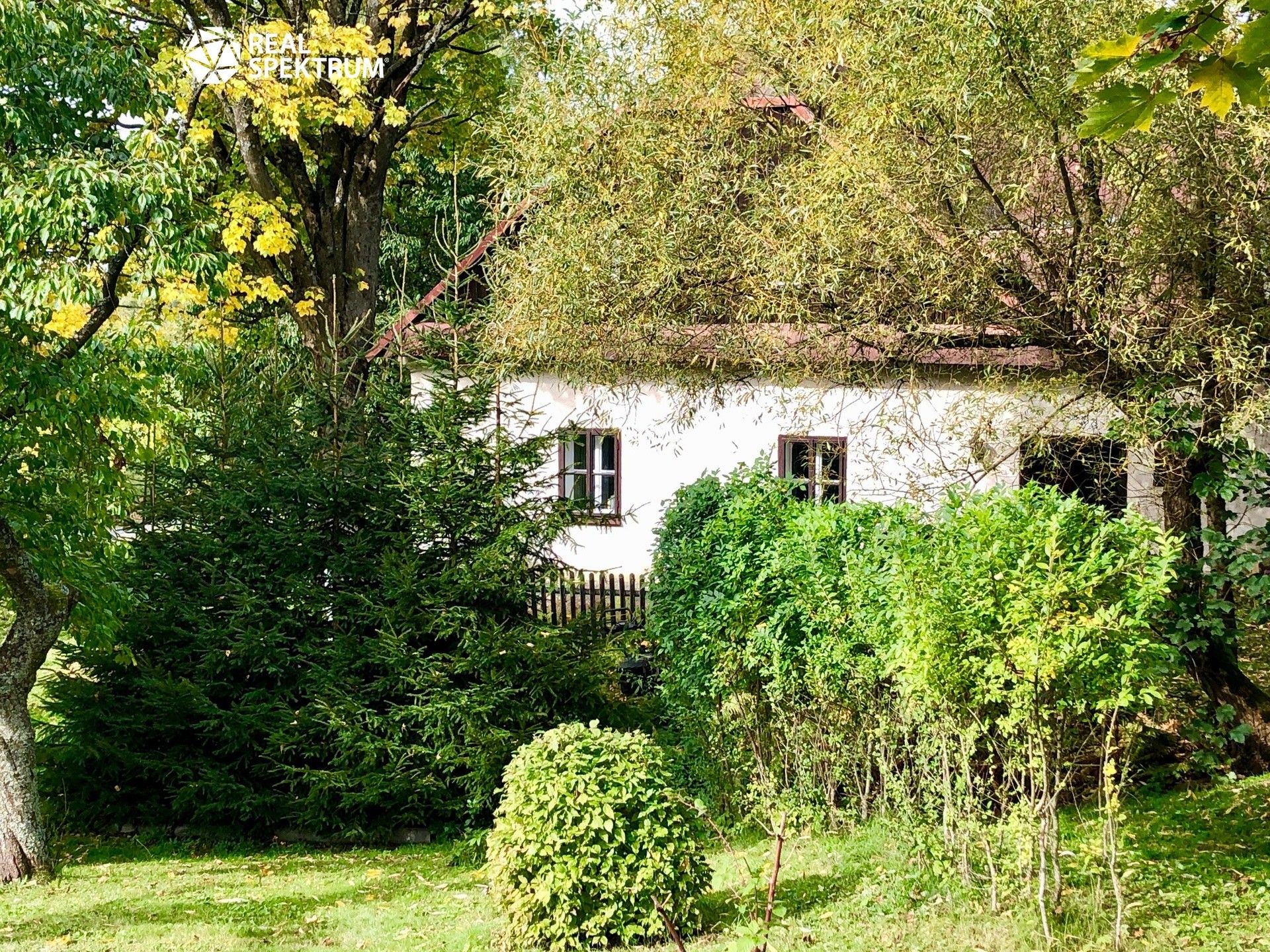 Prodej domu 200 m² - foto 4