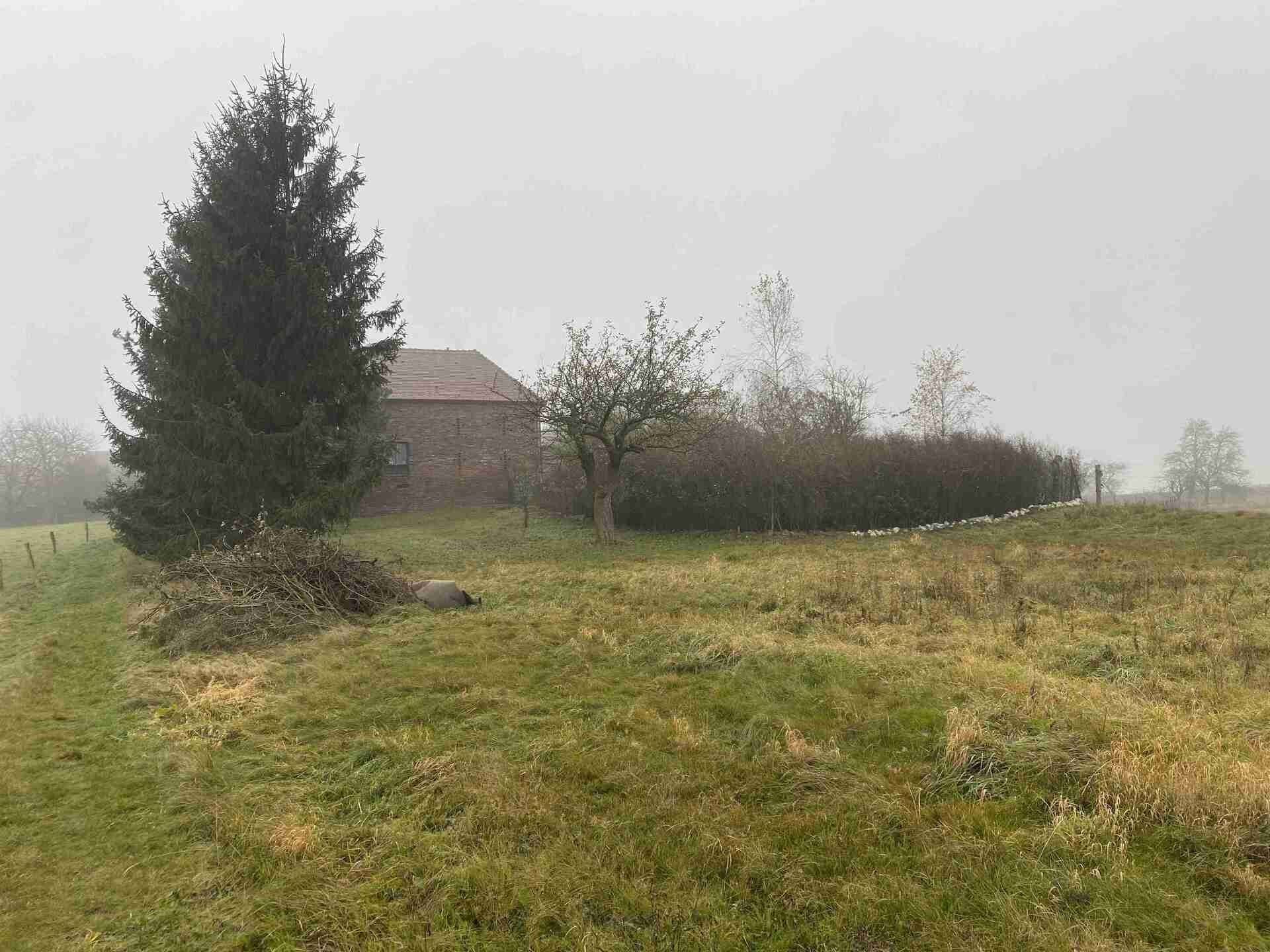 Prodej pozemku 566 m² - foto 6