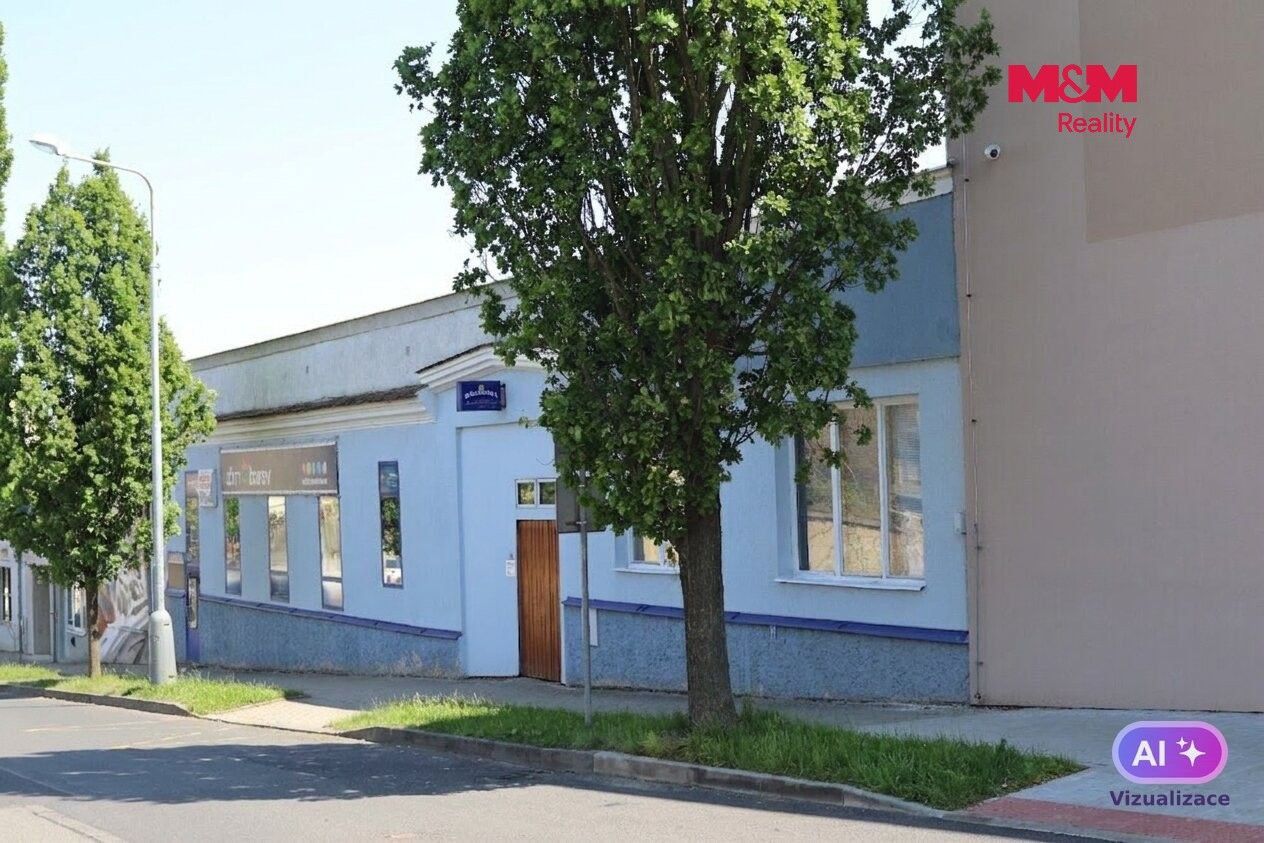 Prodej komerčního prostoru 300 m² - foto 5