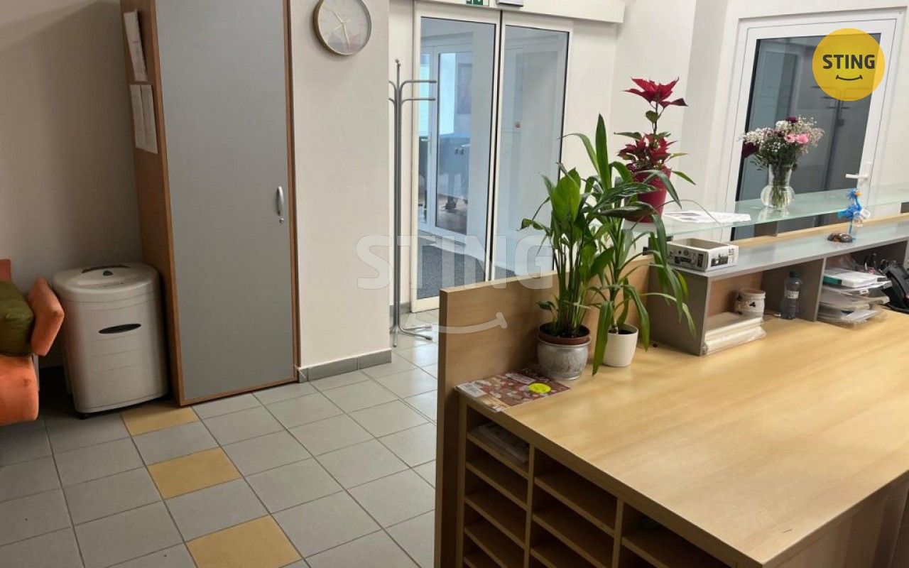 Pronájem komerčního prostoru 280 m² - foto 10