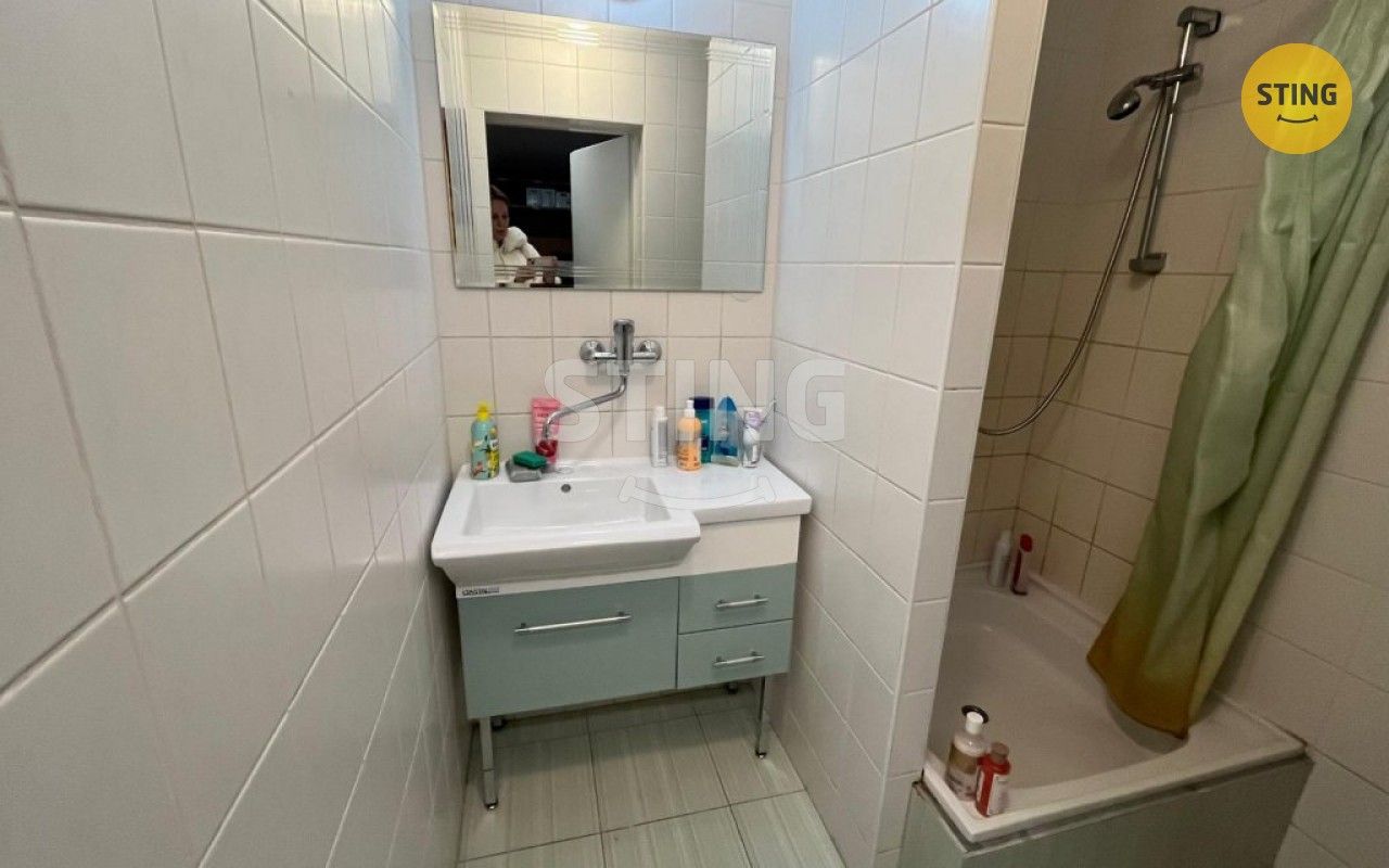 Pronájem komerčního prostoru 280 m² - foto 16
