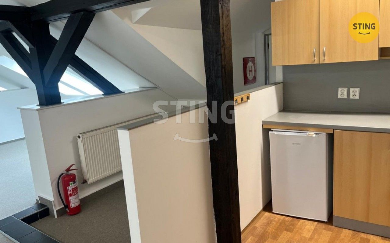 Pronájem komerčního prostoru 280 m² - foto 13