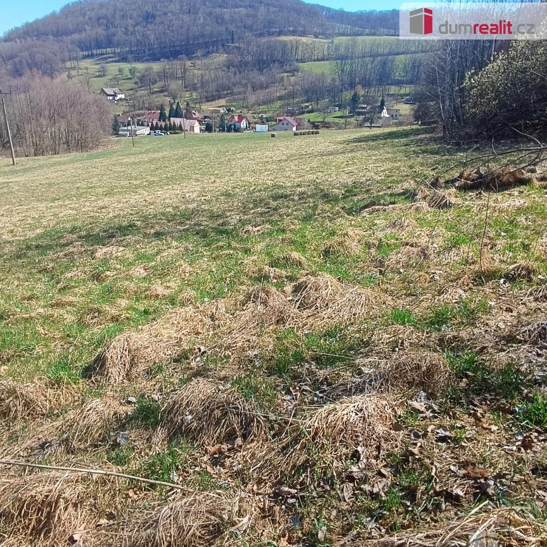 Prodej pozemku 4280 m² - foto 6