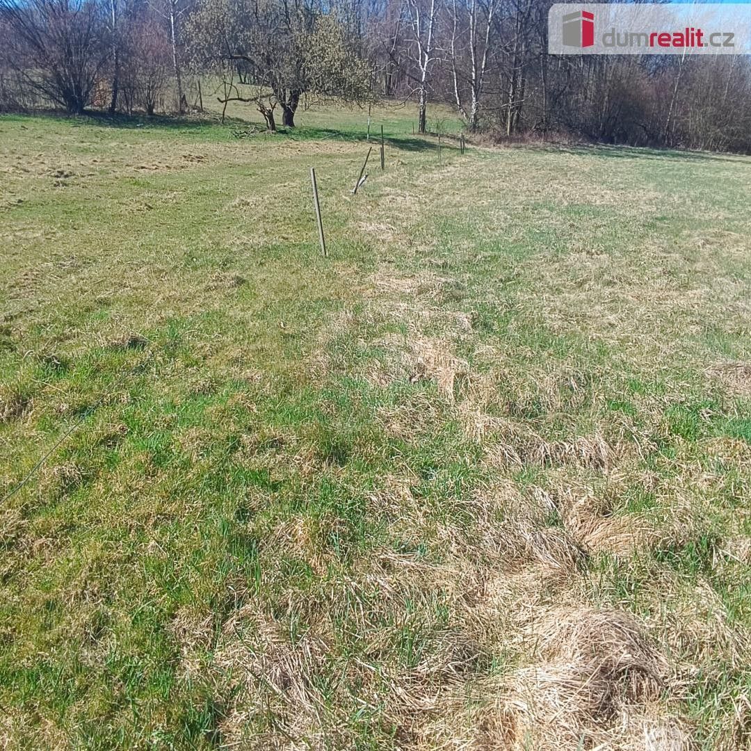 Prodej pozemku 4280 m² - foto 5