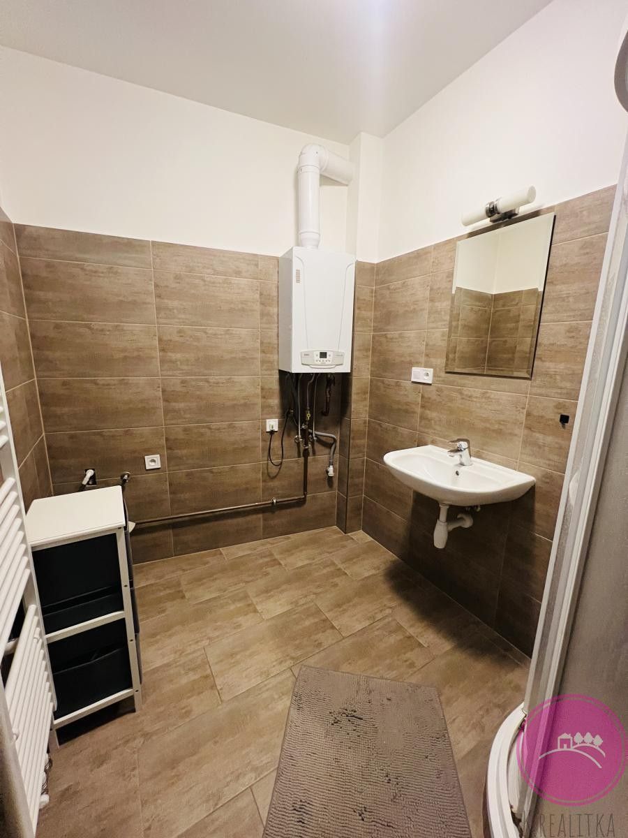 Pronájem bytu 2+1 100 m² - foto 10