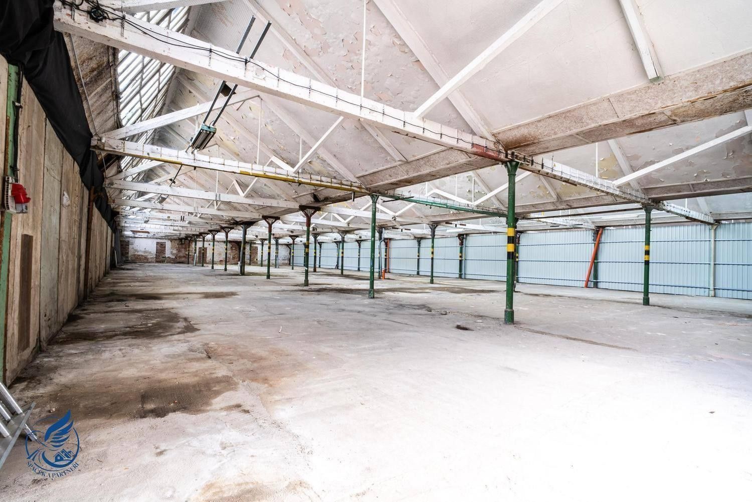 Prodej komerčního prostoru 2500 m² - foto 11