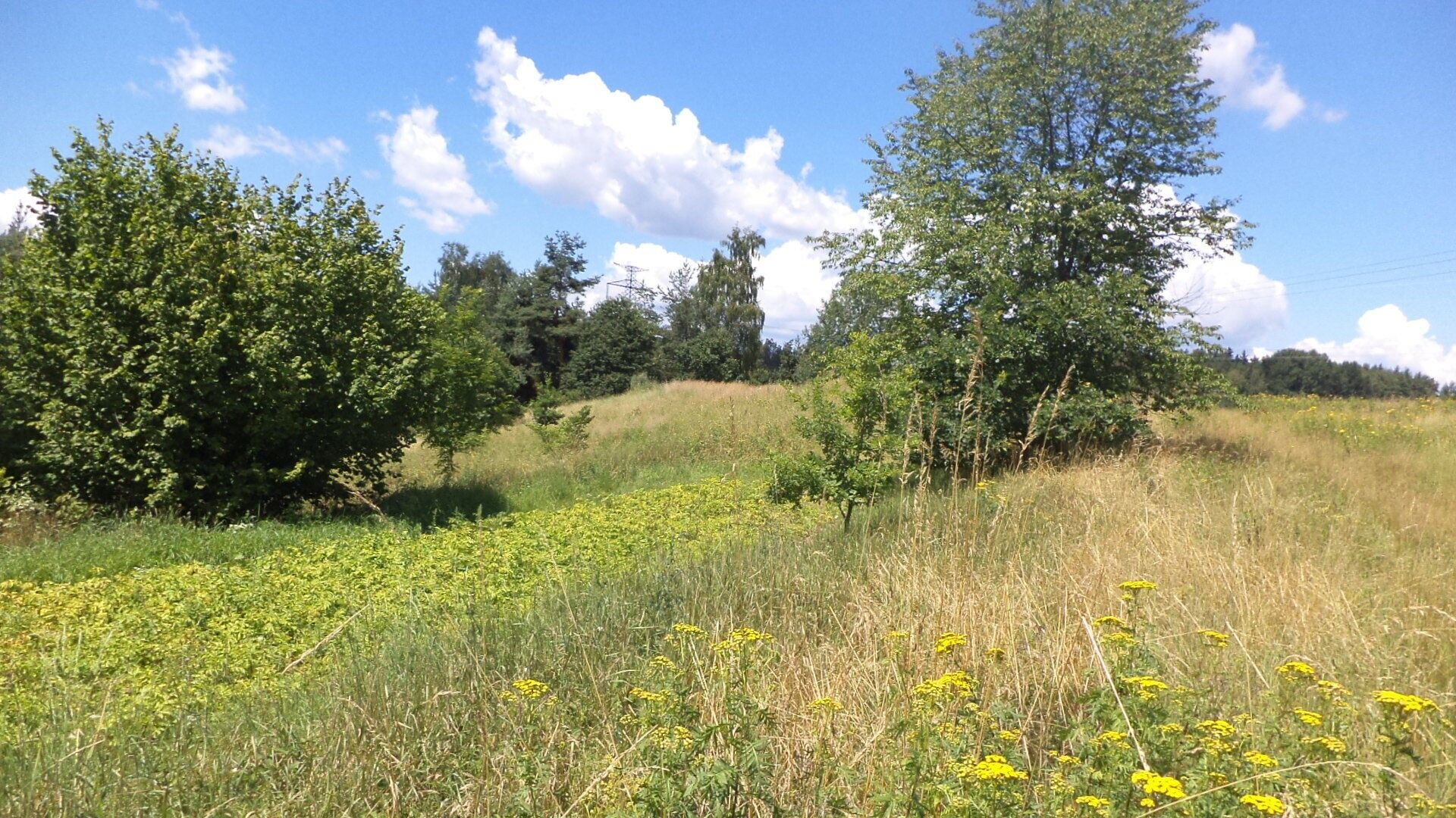 Prodej nemovitosti 15644 m² - foto 5
