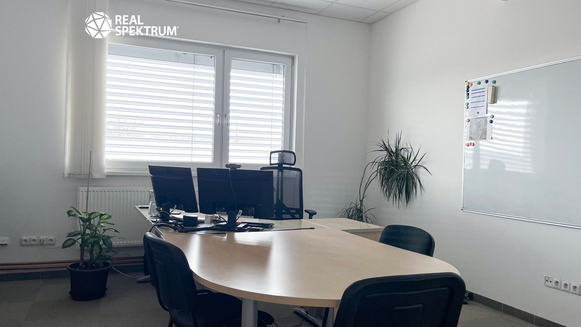 Pronájem komerčního prostoru 3454 m² - foto 11
