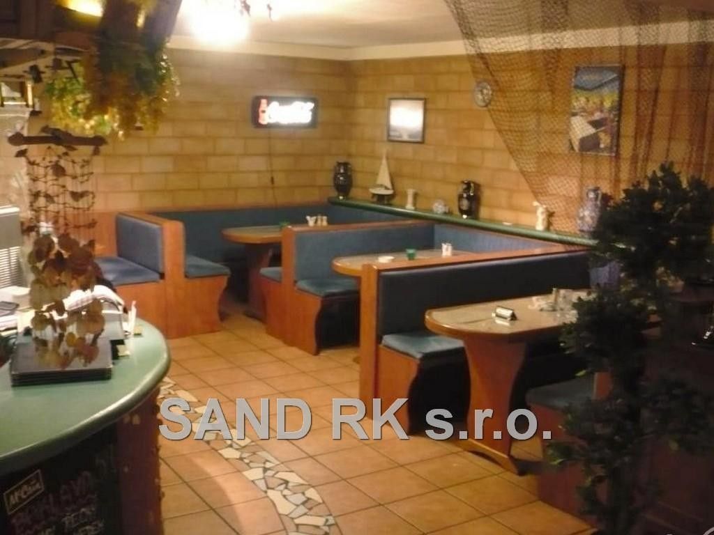 Pronájem nemovitosti 118 m² - foto 9