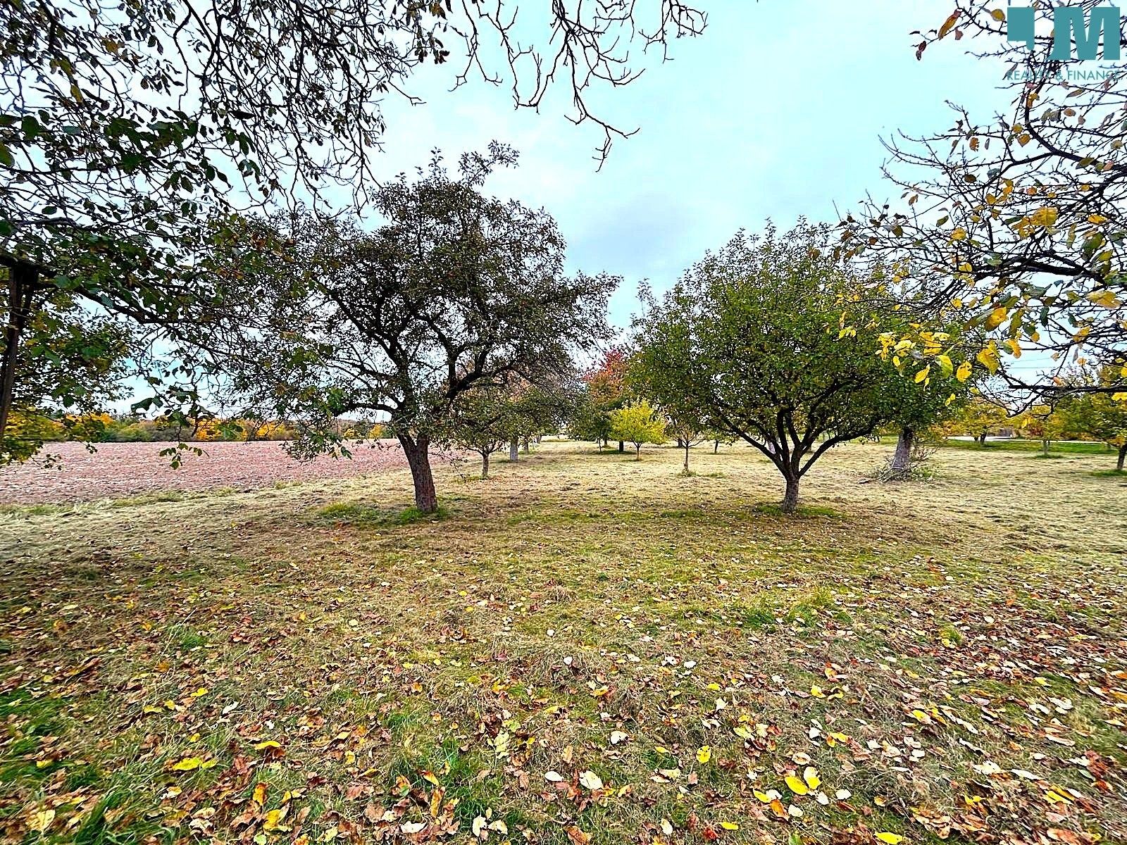 Pronájem pozemku 173500 m² - foto 12