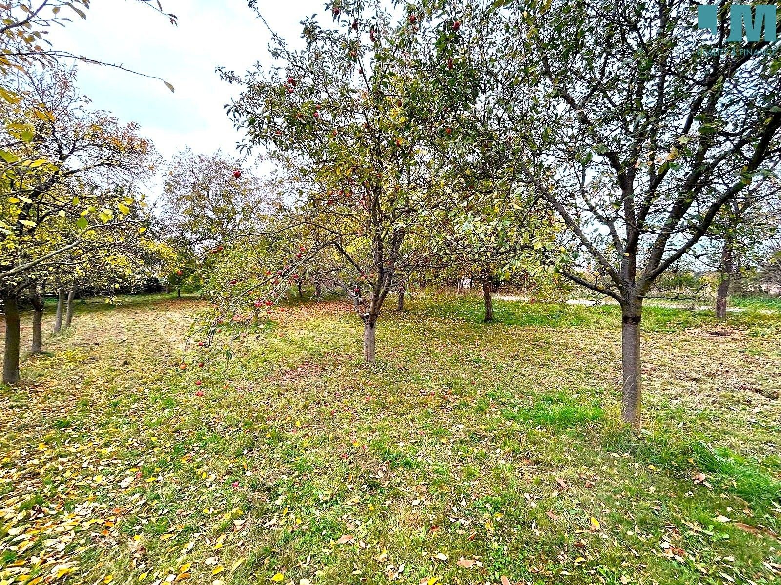 Pronájem pozemku 173500 m² - foto 13