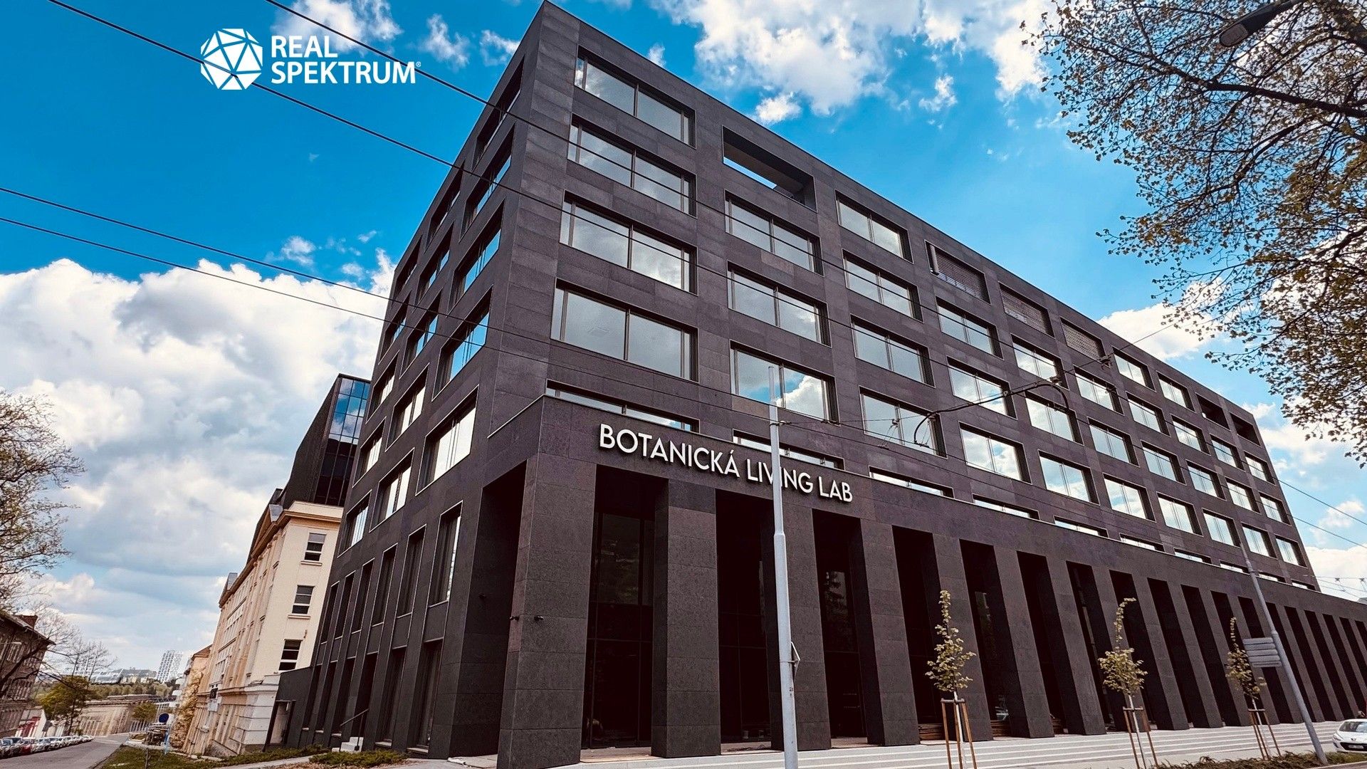 Pronájem komerčního prostoru 481 m² - foto 9