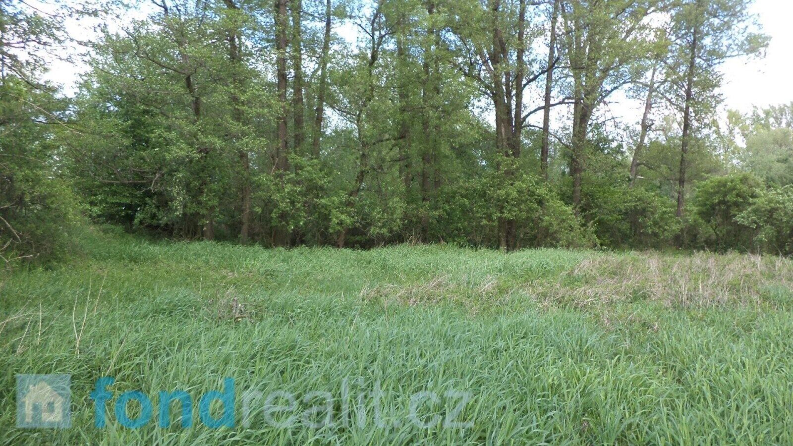 Prodej nemovitosti 1844 m² - foto 1