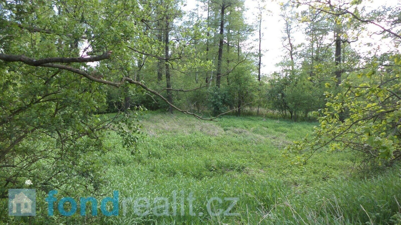 Prodej nemovitosti 1844 m² - foto 2