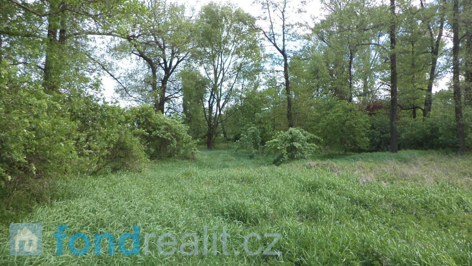 Prodej nemovitosti 1844 m² - foto 3
