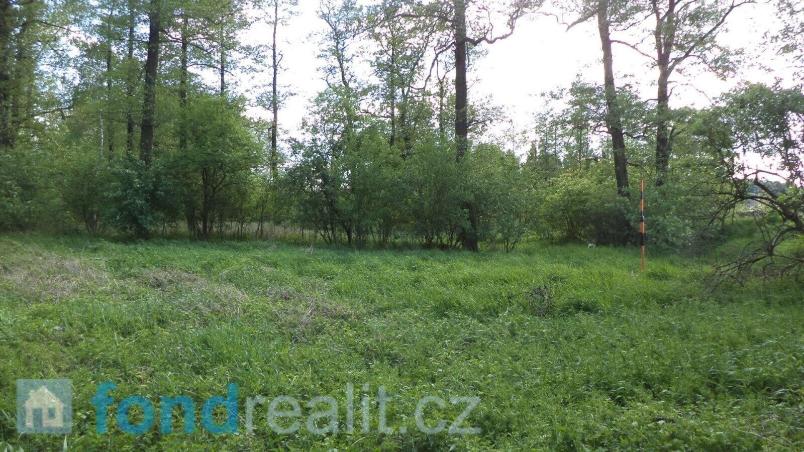Prodej nemovitosti 1844 m² - foto 4