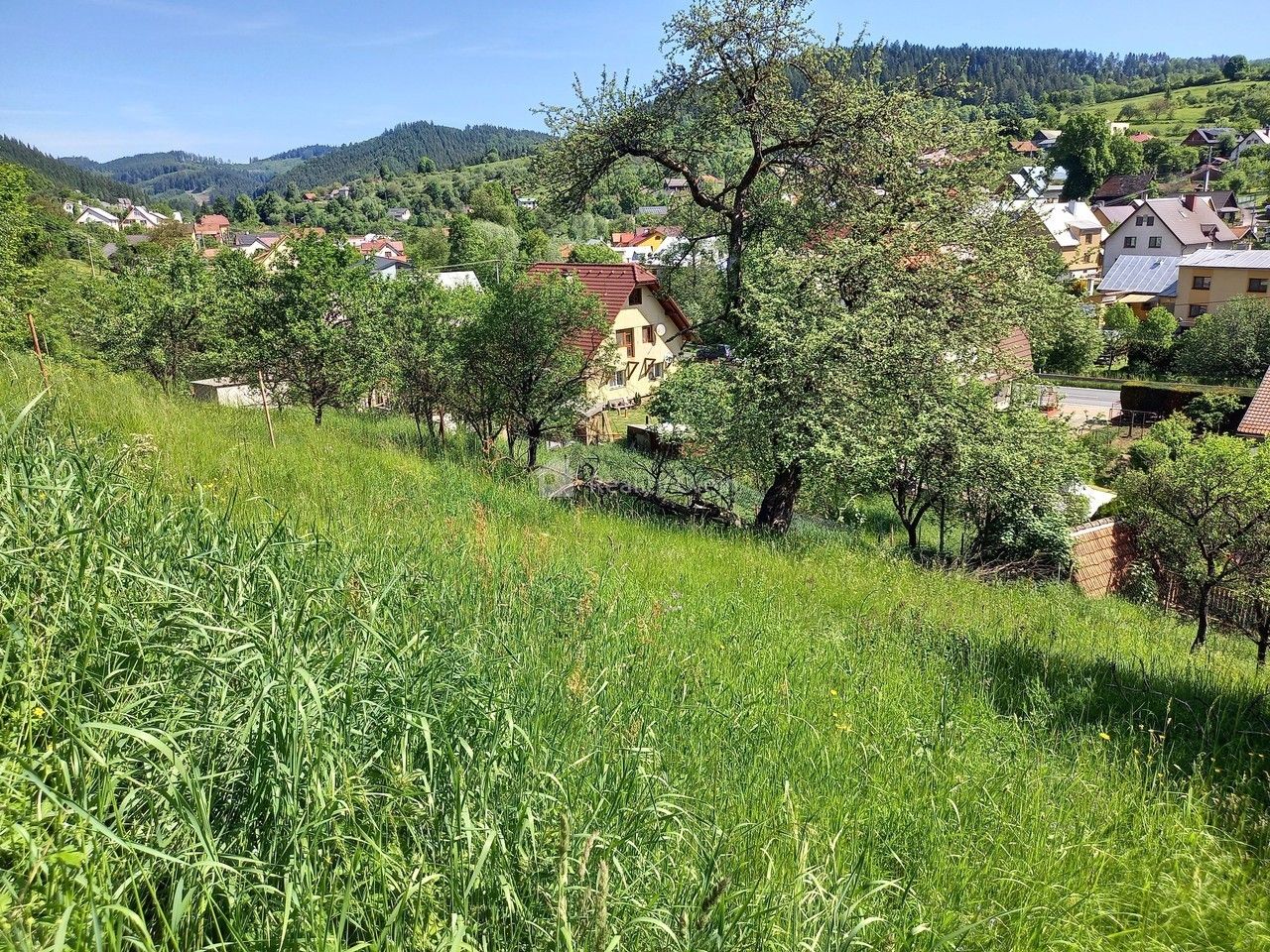 Prodej pozemku 2418 m² - foto 4