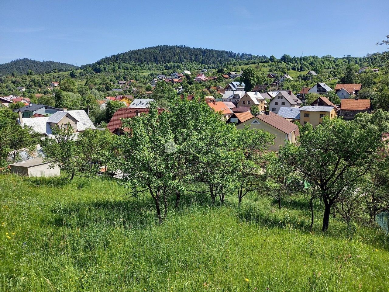 Prodej pozemku 2418 m² - foto 5