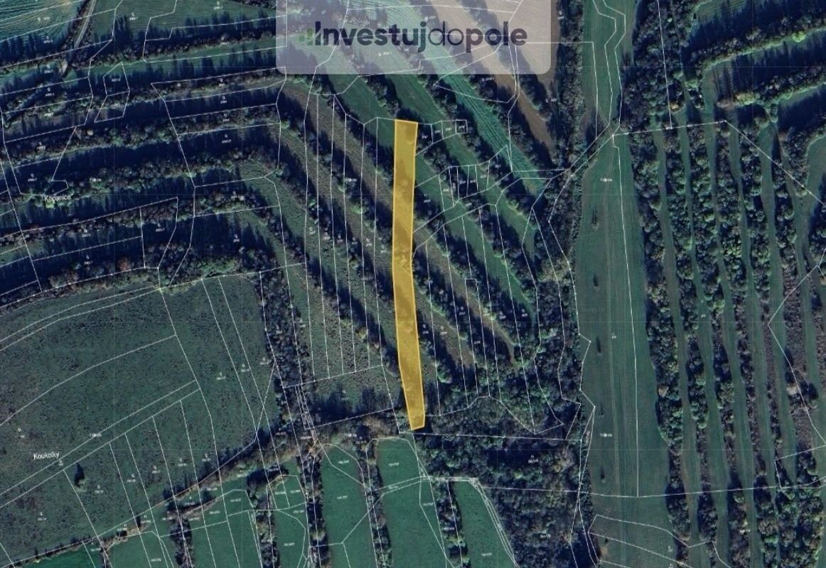 Prodej nemovitosti 1286 m² - foto 1