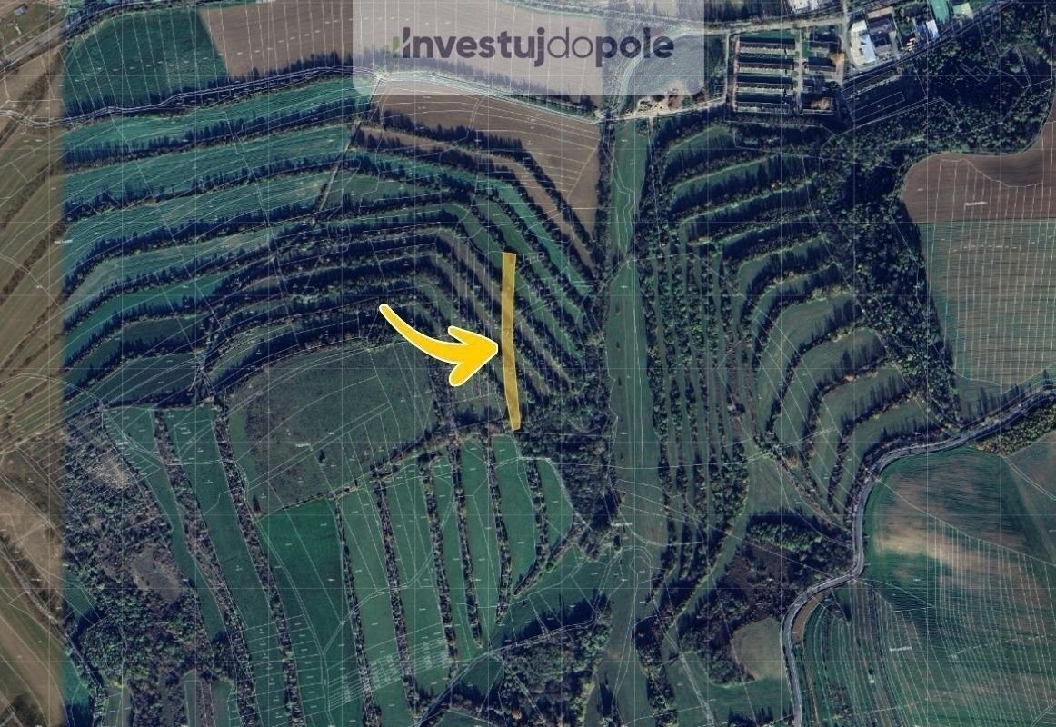 Prodej nemovitosti 1286 m² - foto 2