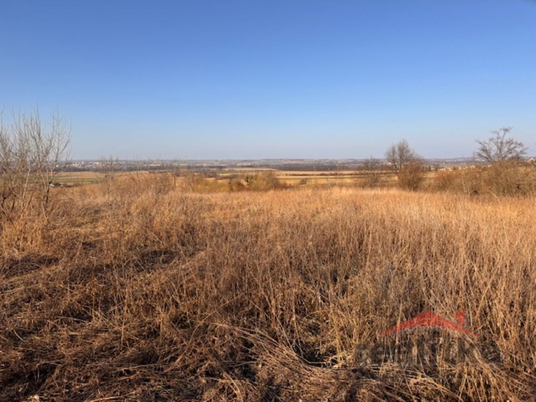 Prodej pozemku 7788 m² - foto 6