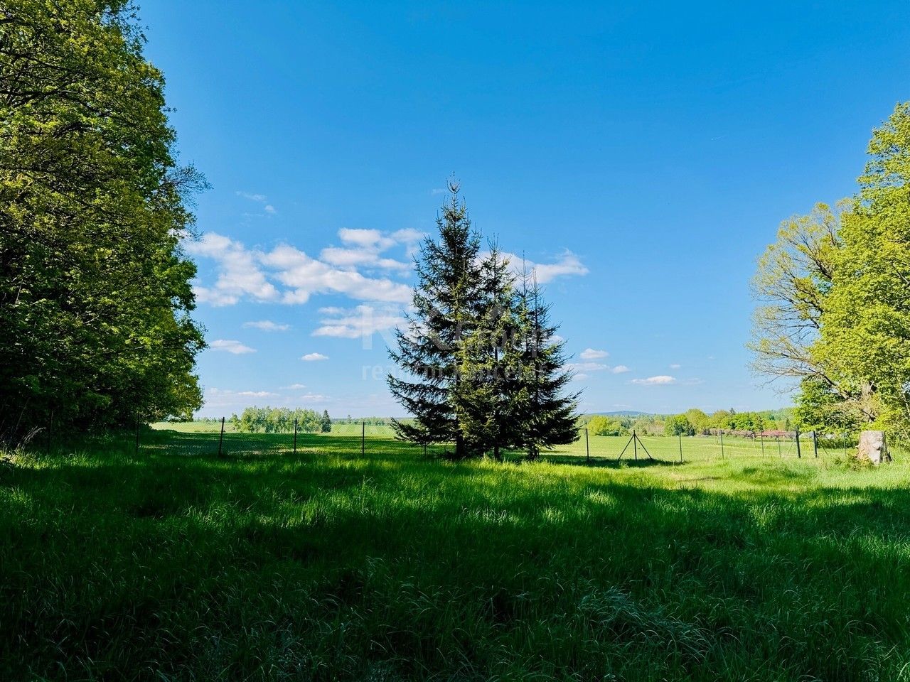 Prodej pozemku 3103 m² - foto 15