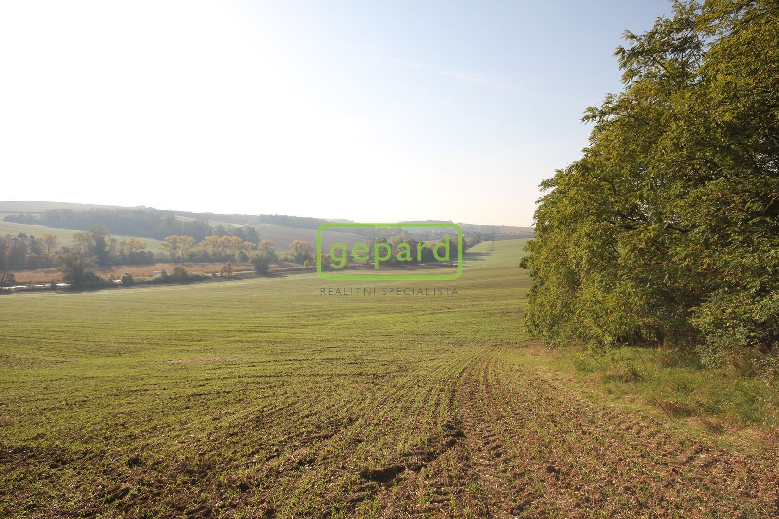 Prodej pozemku 3885 m² - foto 10