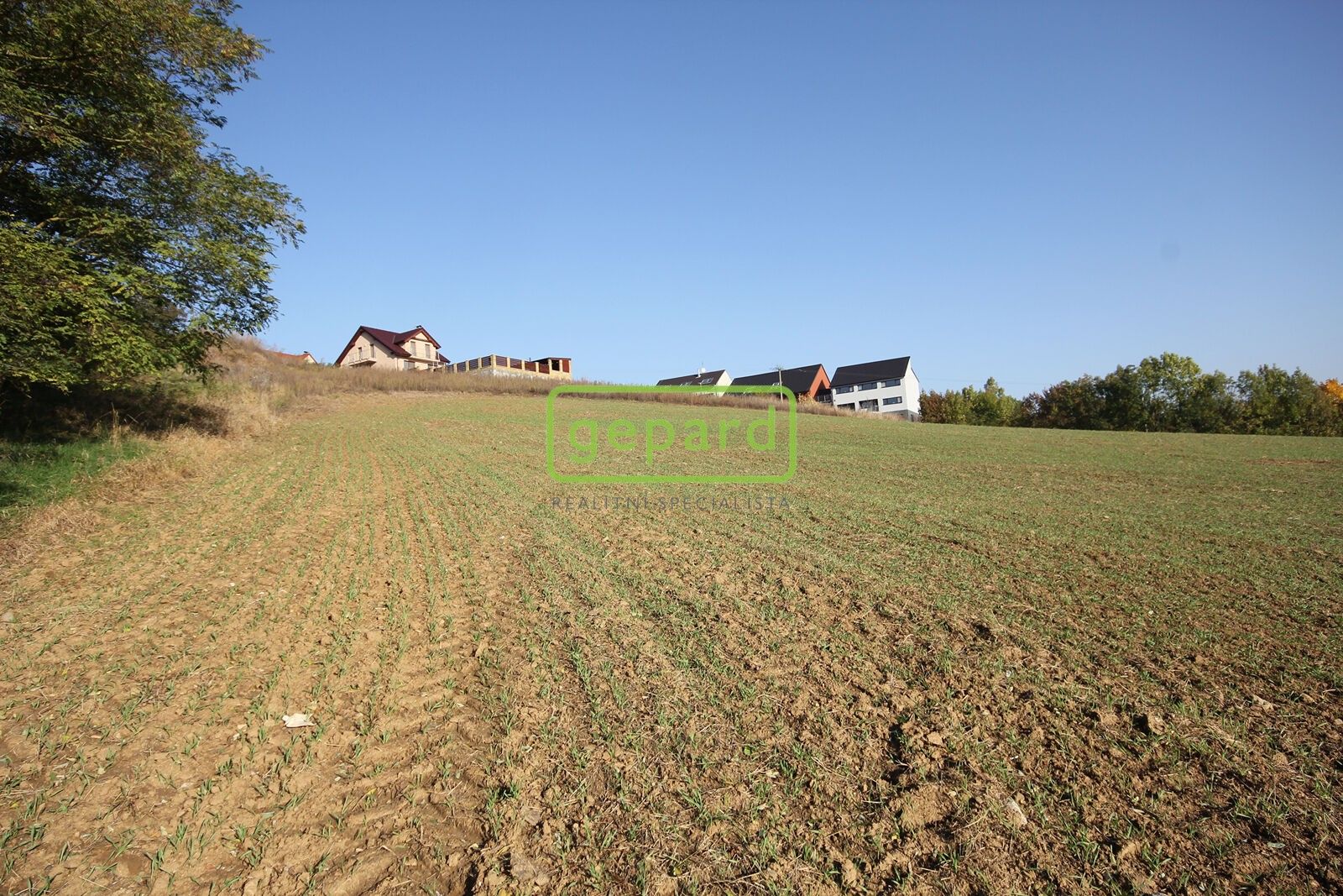 Prodej pozemku 3885 m² - foto 11
