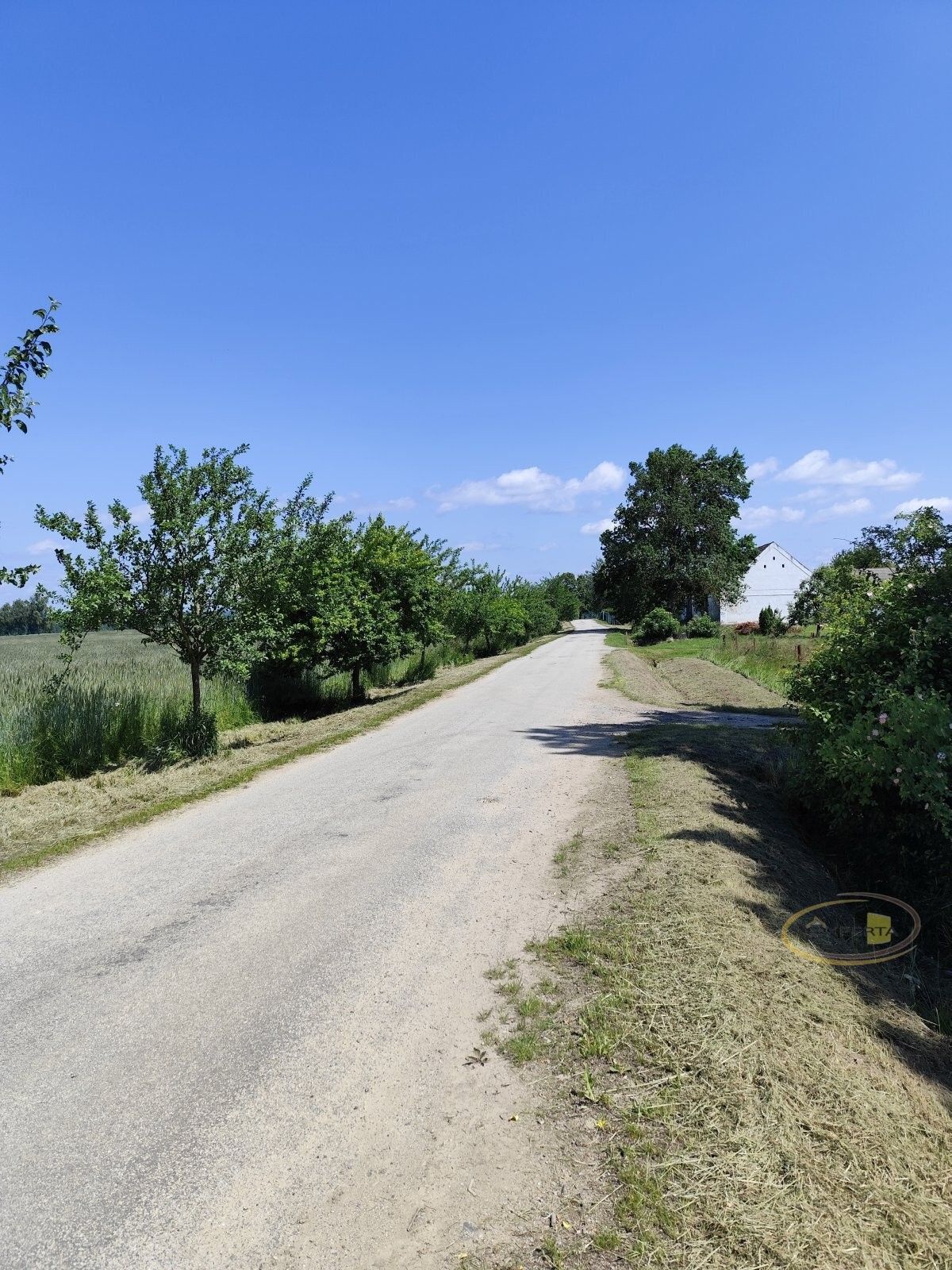 Prodej pozemku 1176 m² - foto 4