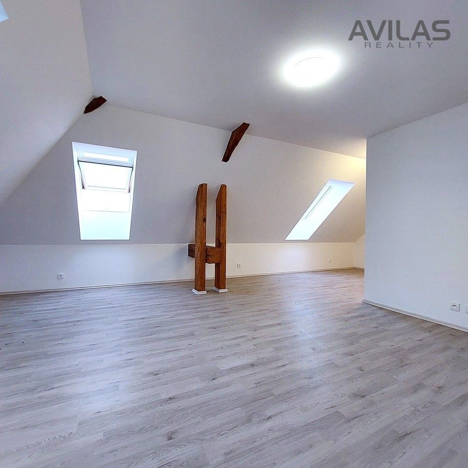 Pronájem bytu 1+kk 56 m² - foto 3