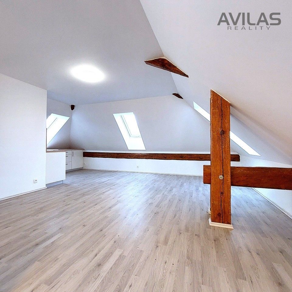Pronájem bytu 1+kk 56 m² - foto 4